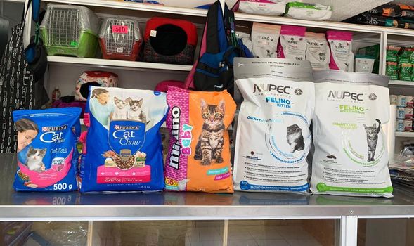 Alimento premium para perros