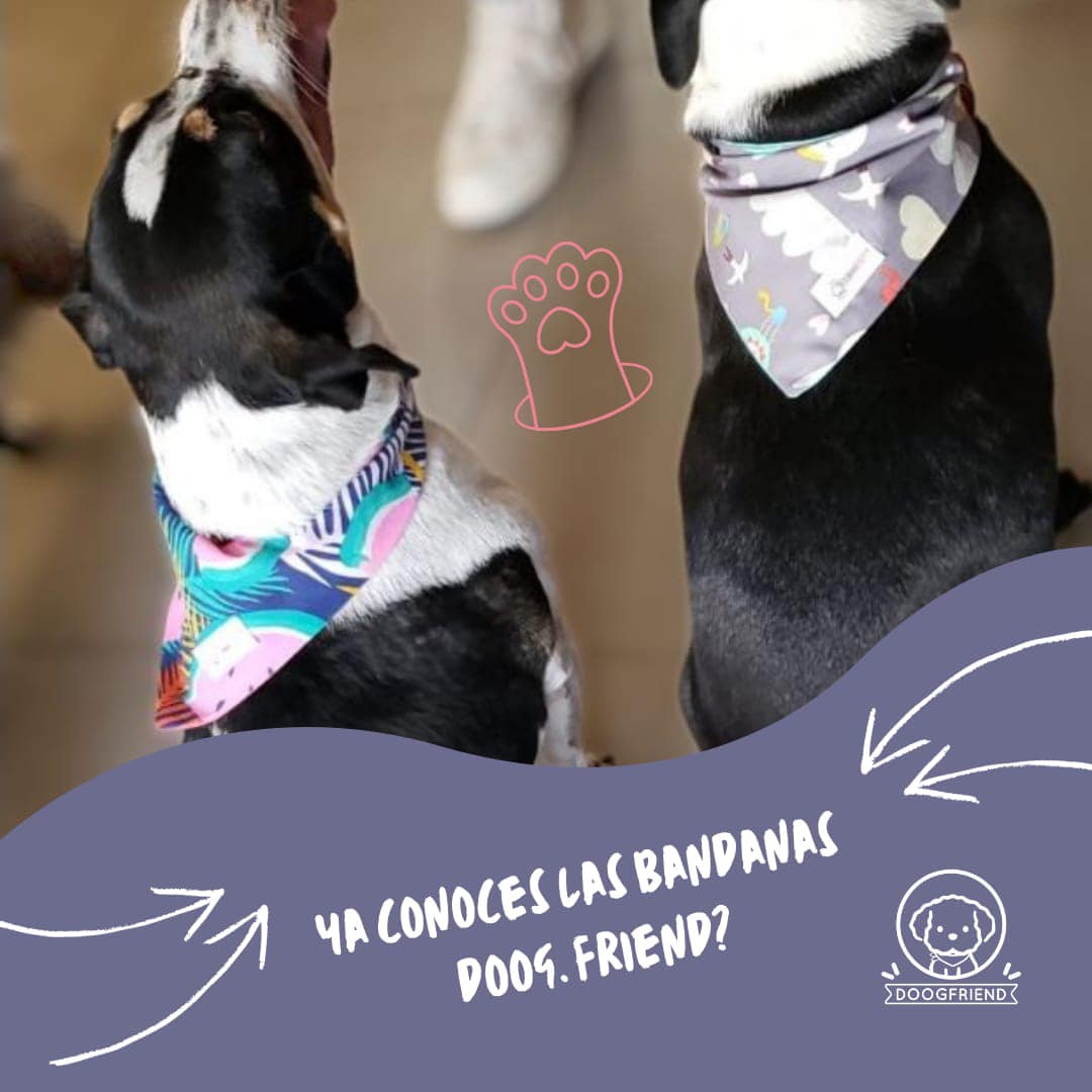 Bandanas para mascotas